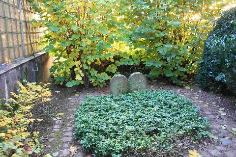 Jüdischer Friedhof Dirmerzheim 04