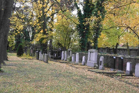 Jüdischer Friedhof Elsdorf 03