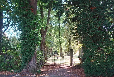 Juedischer Friedhof Gt