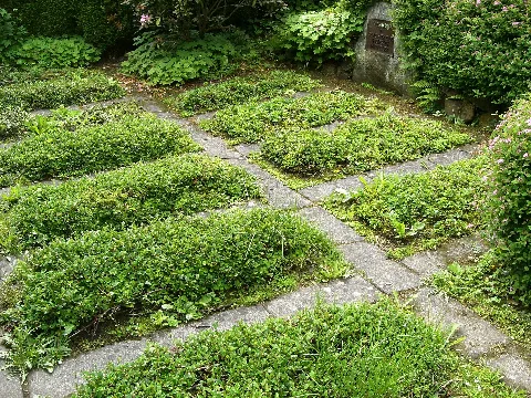 Jüdischer Friedhof In Langenei