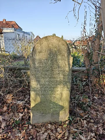 Jüdischer Friedhof Nienburg 05