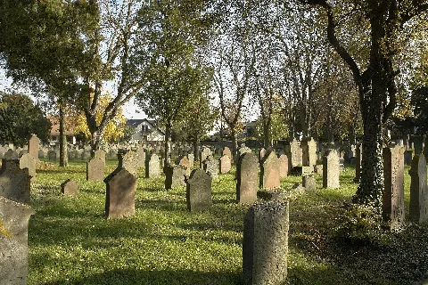 Jüdischer Friedhof Wachenheim