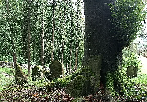 Jüdischerfriedhof1
