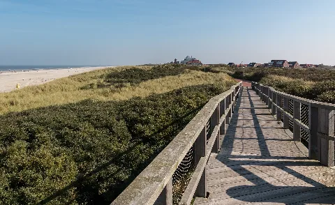 Juist, Düne 2014 3606