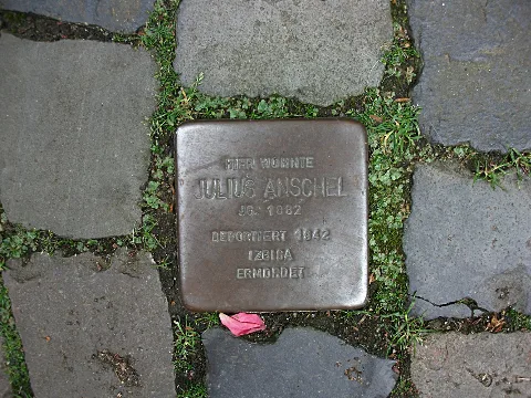 Julius Anschel
