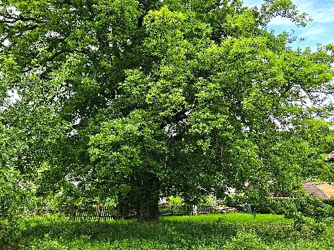 Friedhof Witzenhausen