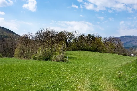 Kalkklippe Oberpiesting Ost