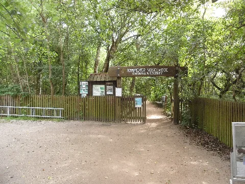 Kampener Vogelkoje