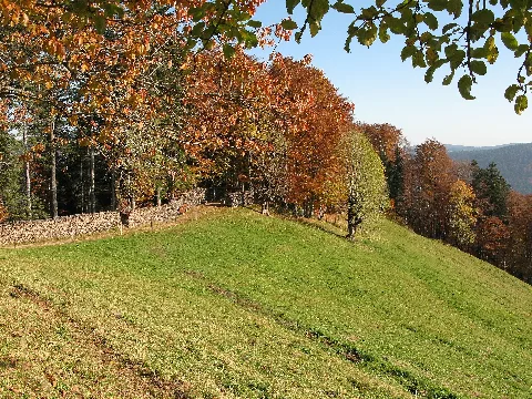Kandel Platte Simonswald 01