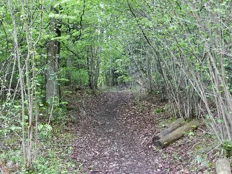 Karl Pfrommer Weg Panoramio (1)
