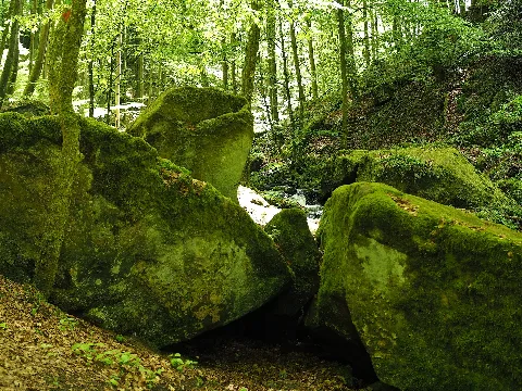 Karlstalschlucht Trippstadt 3
