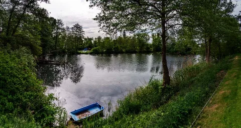 Karpfenteich 01