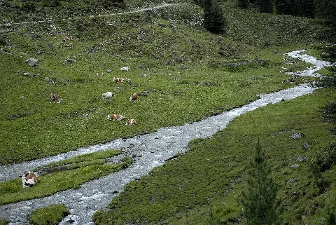 Kaseralm Mit Fotscherbach