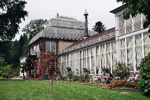 Kassel, Gewächshaus Wilhelmshöhe