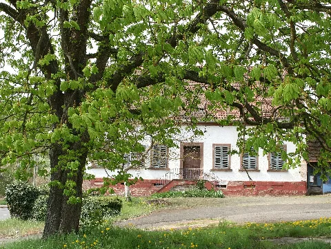 Katzweiler Sonnenhof 2