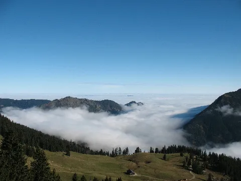 Kienberg Morning Fog