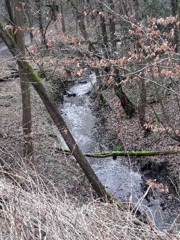 Kirchhörder Bach Dortmund Loettringhausen