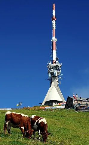 Kitzbüheler Horn
