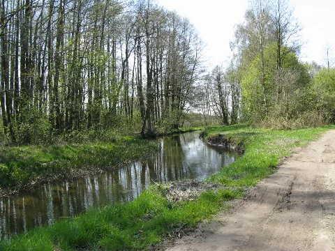 Klein Pankow Gehlsbach 2008 04 24 114