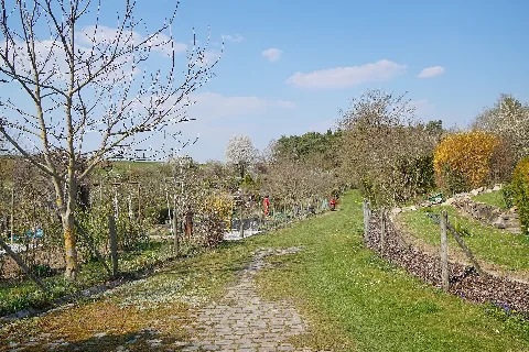 Kleingartenanlage Molte 01