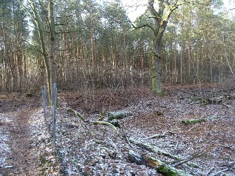Klentenfängerteichswecke