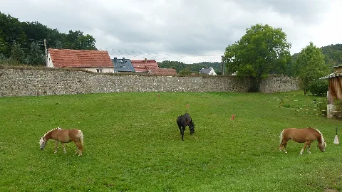 Klosterpark Altzella