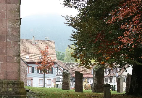 Klosterreichenbach (Baiersbronn), The Former Monastery, Greenery