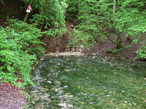 Kocherursprung