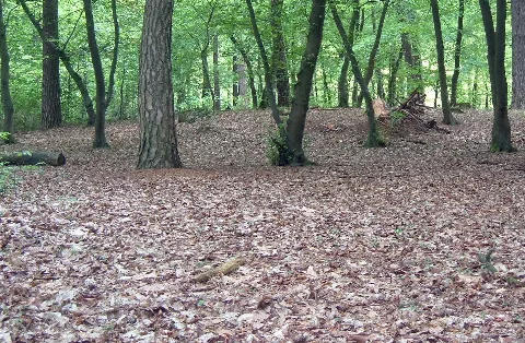Koenigsforst Huegelgrarp