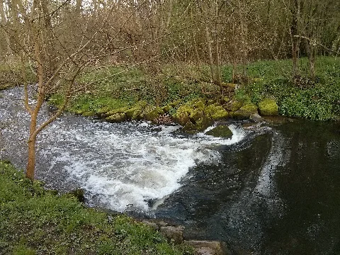 Koersch 1