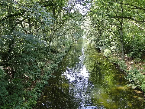 Kogel Siedlung Schaalseekanal 2011 07 16 057