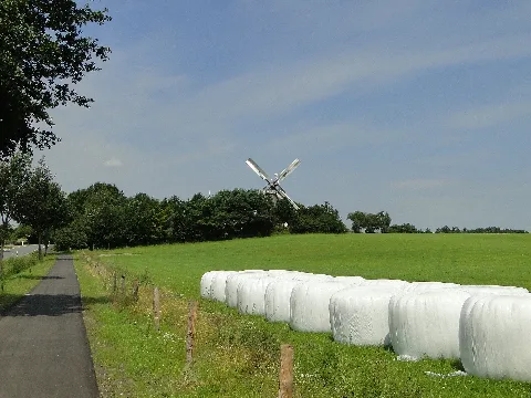 Kogelermühle Windmühle Feld 2011 07 16 023