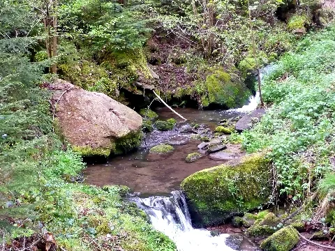 Kollbach Panoramio