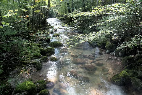 Alterbach