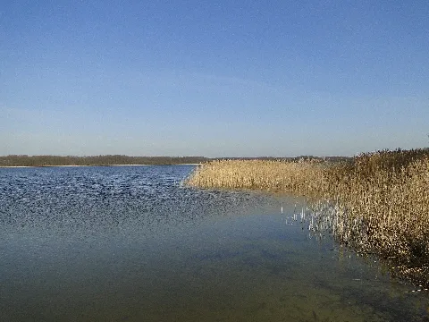 Kornhorst Massower See 2010 04 07 032
