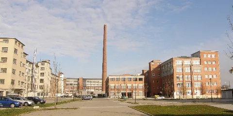 Kornwestheim Salamander 05 (Raboe)