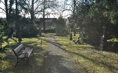 Kornwestheimalterfriedhofgegenlicht