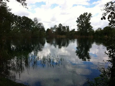 Kräppelweiher 4