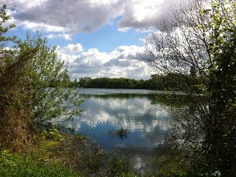 Kräppelweiher 5