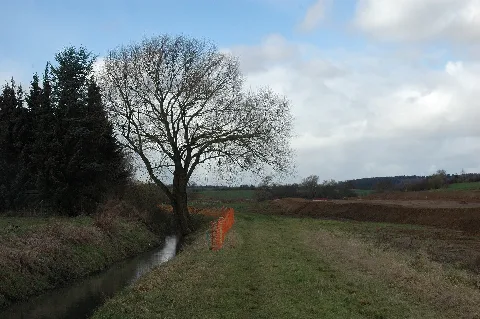 Krebsbach Mit Erle