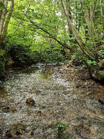 Krebsbachtal Eigeltingen