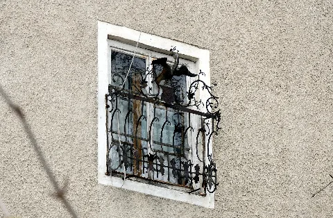 Kremsmünster Herrengasse 2 Gitter