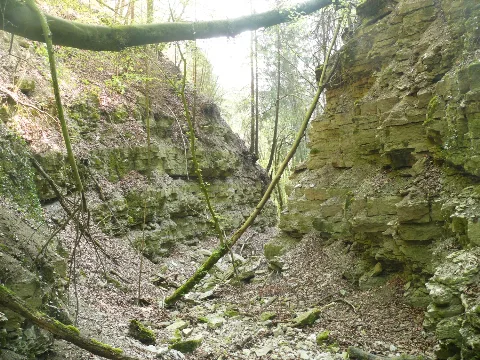 Kressenklinge 150409