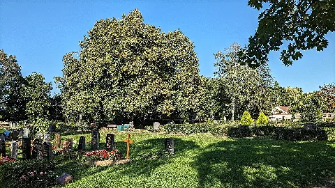 Kreuzfriedhof Mölkau Ansicht Gräberfeld