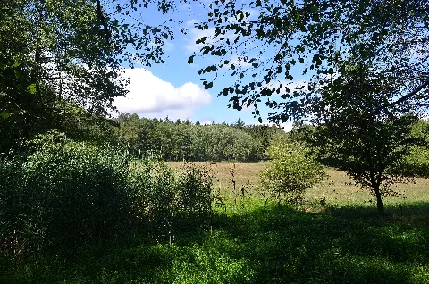 Kronberg, Nsg Hinterste Neuwiese Bei Kronberg