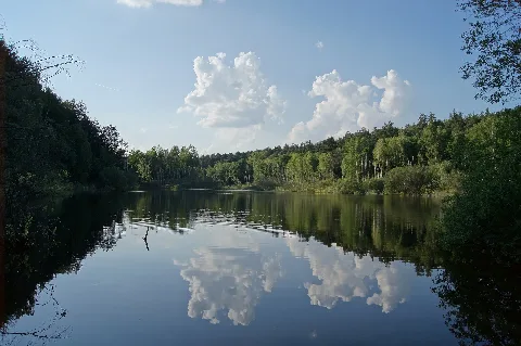 Krumme Hölle Biegener Hellen Hohenwalde Frankfurt Oder 02
