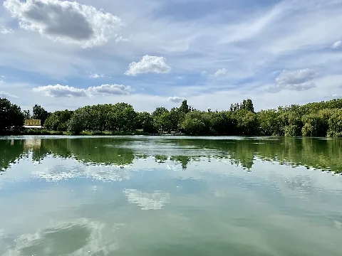 Kurpark Oberlaa Schwanensee