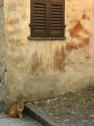 La Parte Abitata Della Rete
