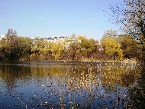 Laaer Wald, Am Ufer Des Blauen Teichs Panoramio