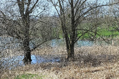 Lac De Bret Panoramio (70)